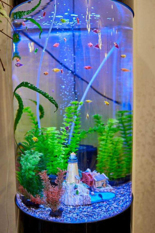 Spa Lux Apartmani ノヴィ・サド エクステリア 写真